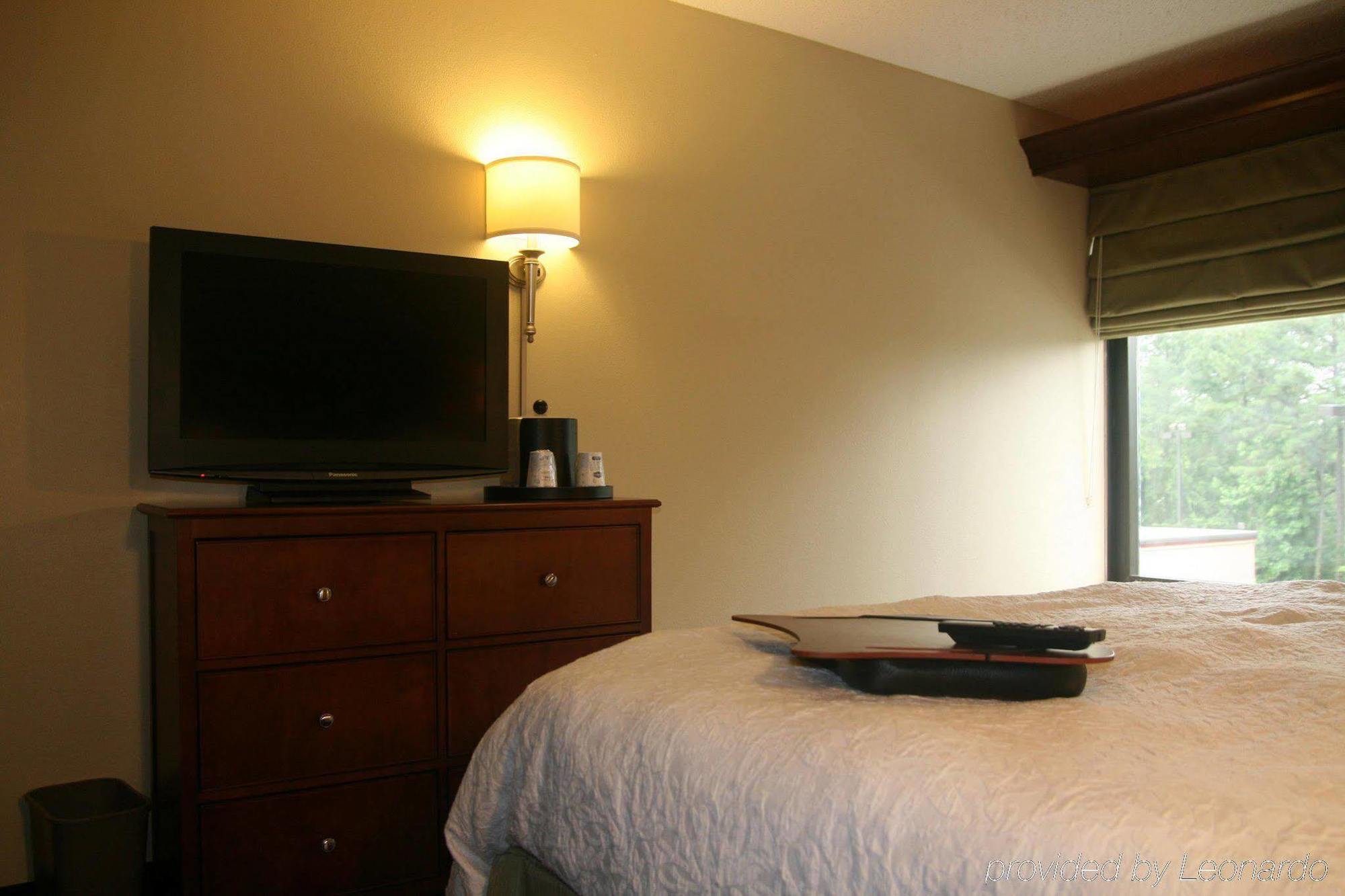 Hampton Inn Birmingham/Mountain Brook Rum bild
