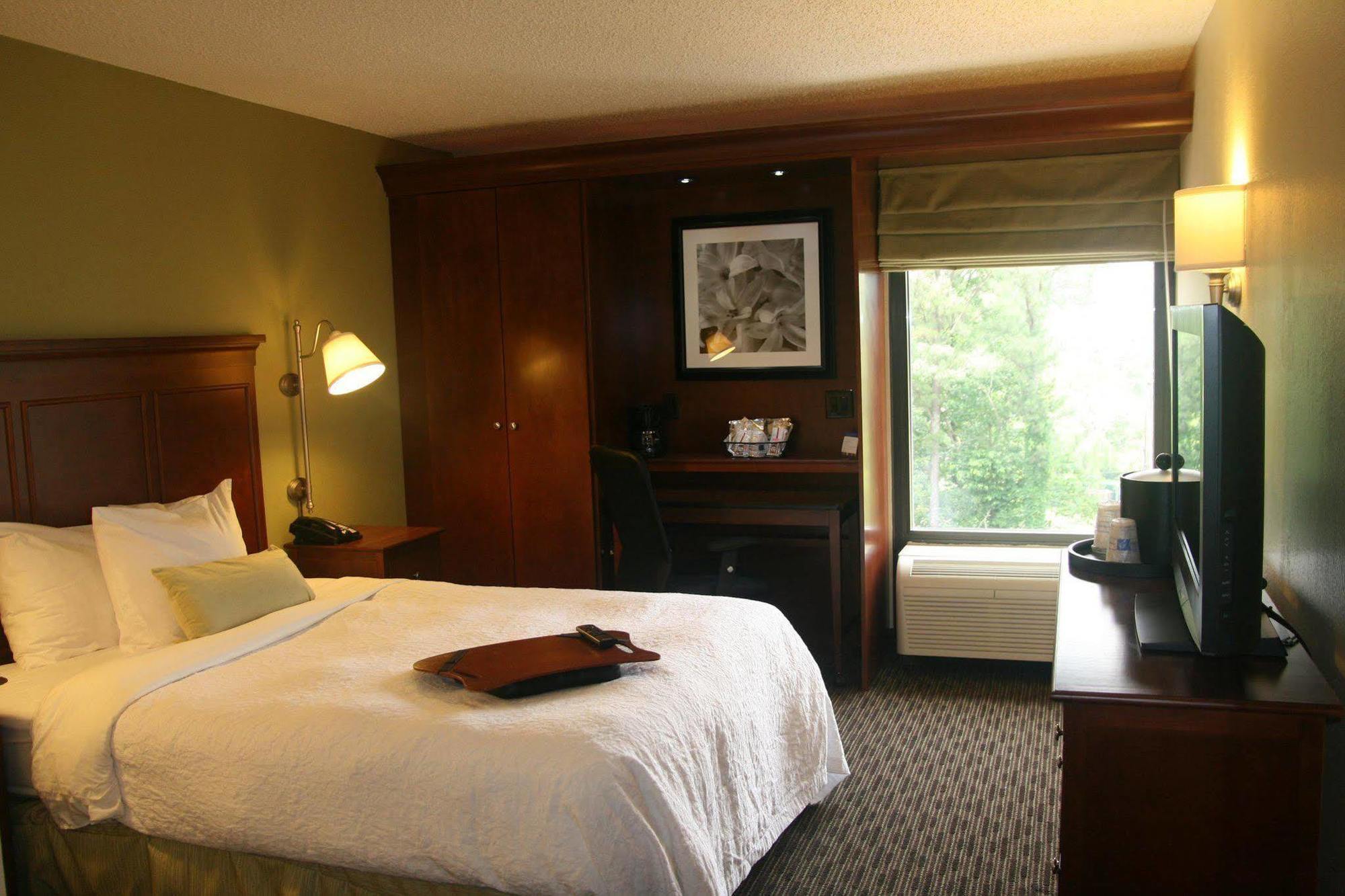 Hampton Inn Birmingham/Mountain Brook Rum bild